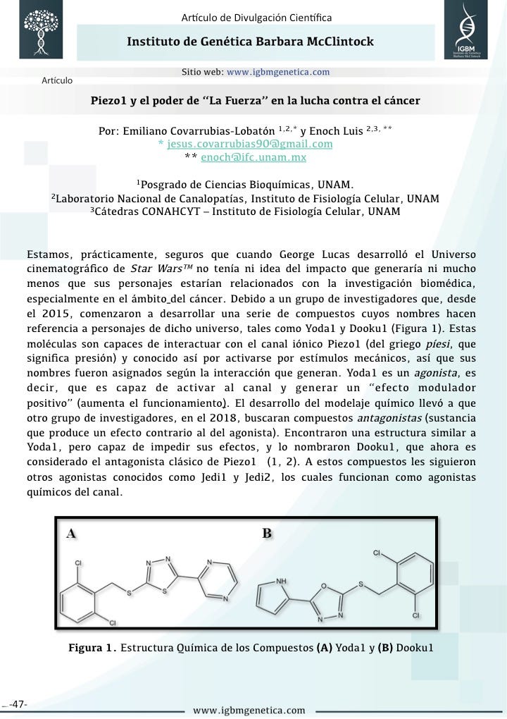 Piezo1 y el poder de “La Fuerza” en la lucha contra el cáncer