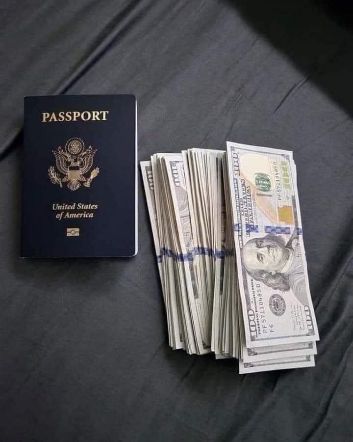 Global Entry, TSA PreCheck, CLEAR Plus: Which One Should I Get? | by ...
