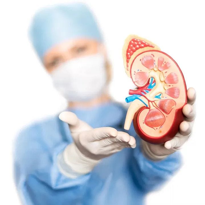 What Is The Best Food For Liver And Kidney Health By Celeste 
