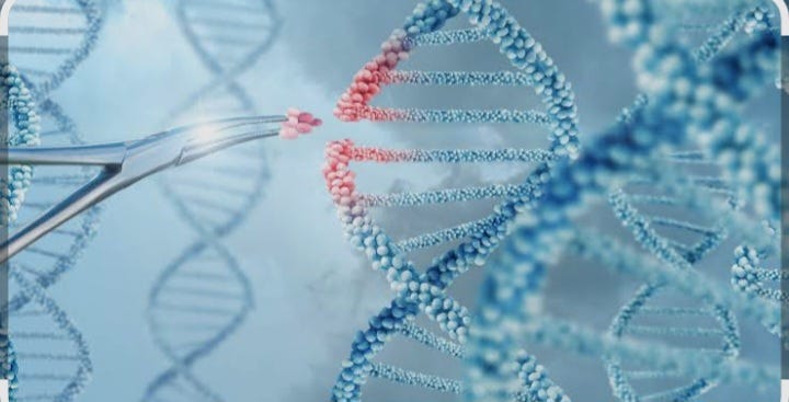 The Medicine of the Future : Understanding Cell and Gene Therapy