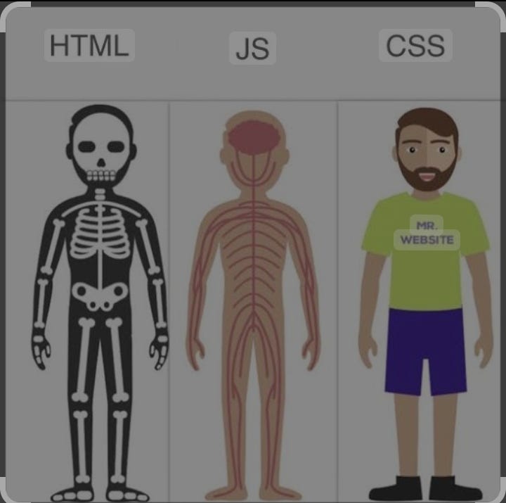 html- bone. #html Html is fundamental of web… | by T. Mohanraj | Oct ...