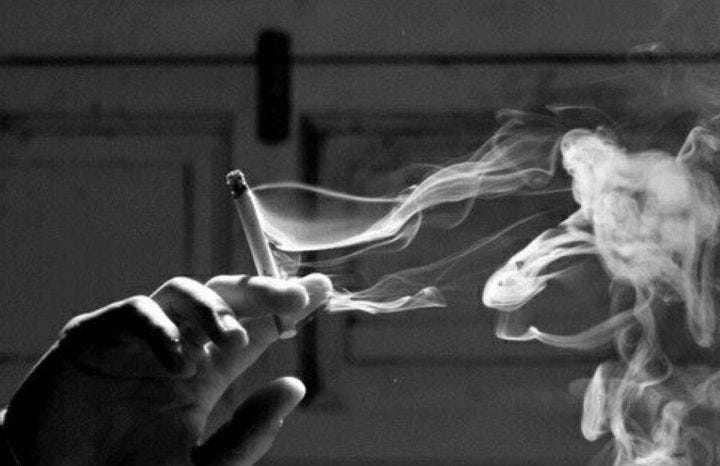 Murah di Tangan, Bobol di Anggaran: Fakta Gelap Rokok Ilegal