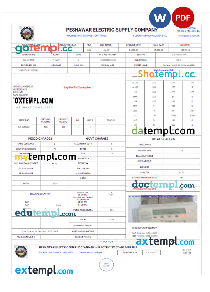 PAKISTAN PESHAWAR ELECTRIC SUPPLY COMPANY utility bill download Word and PDF example