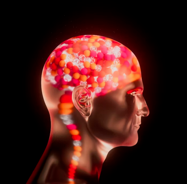 The Brain Prefers Comfort Over Progress