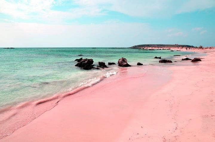 How Pro Transportation Makes Your Bermuda Beach Pink Sand