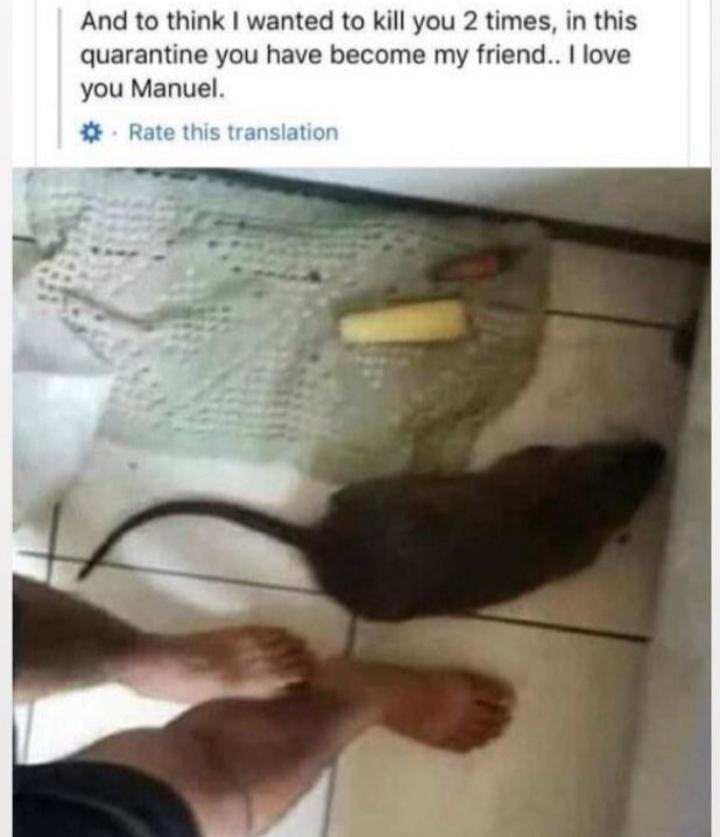 Politiikasta markkinoille ja takaisin