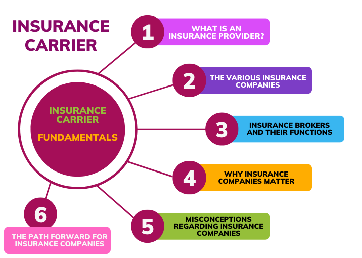 What is an insurance carrier? Realizing the 6 Fundamentals ITSIBI IT