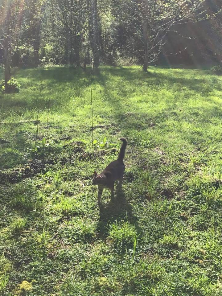 What Is It? We dream first the morrow, then we live it Medium