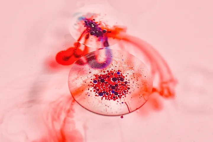 human blood