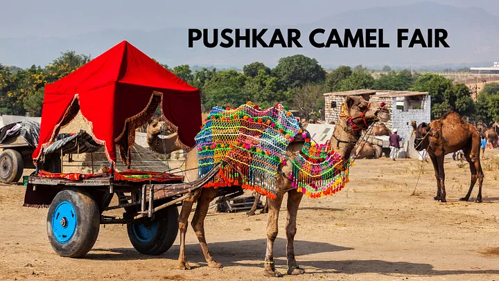 pushkar camel fair