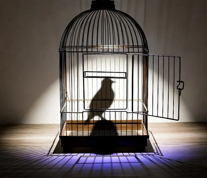 You’re Not Stuck. You’re Myelinated.