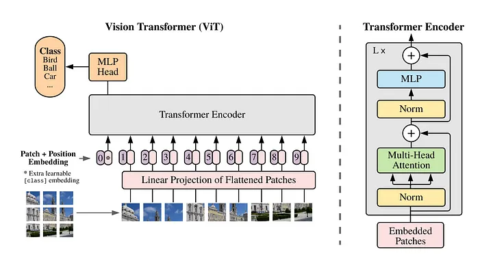 ViT Architecture