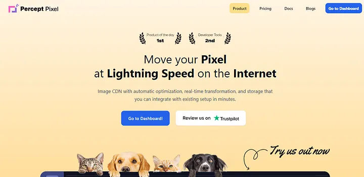 Screenshot from PerceptPixel