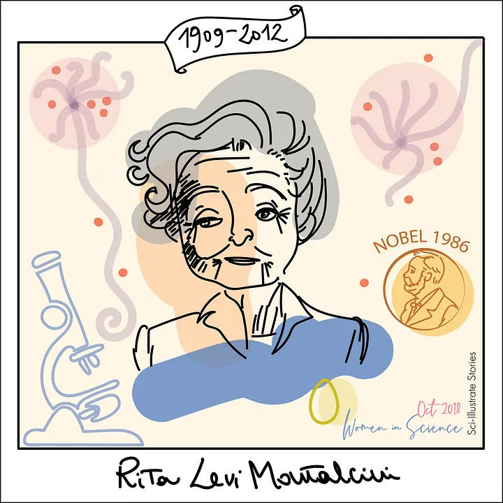 Rita Levi-Montalcini