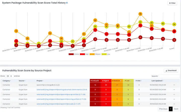 Tracking Vulnerability Burndown in Container Images for RMF