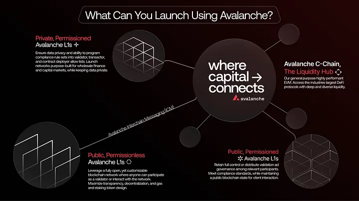 Summer 2025: Why Avalanche Is Where Capital Connects