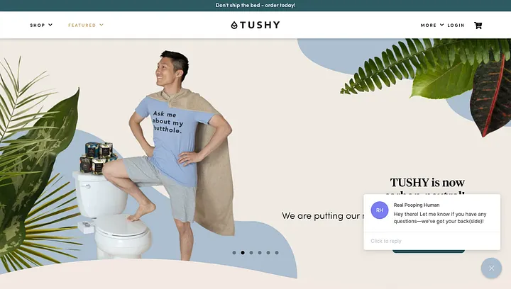 Tushy modern bidet