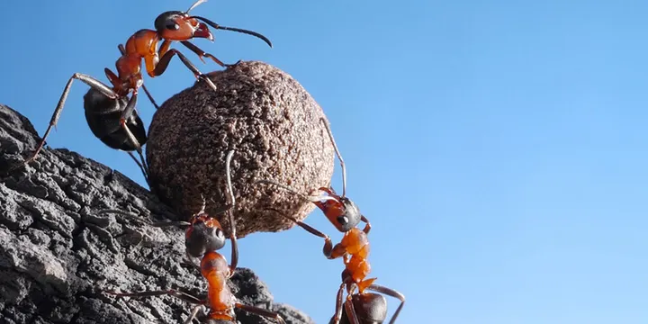 Capa do artigo no Medium