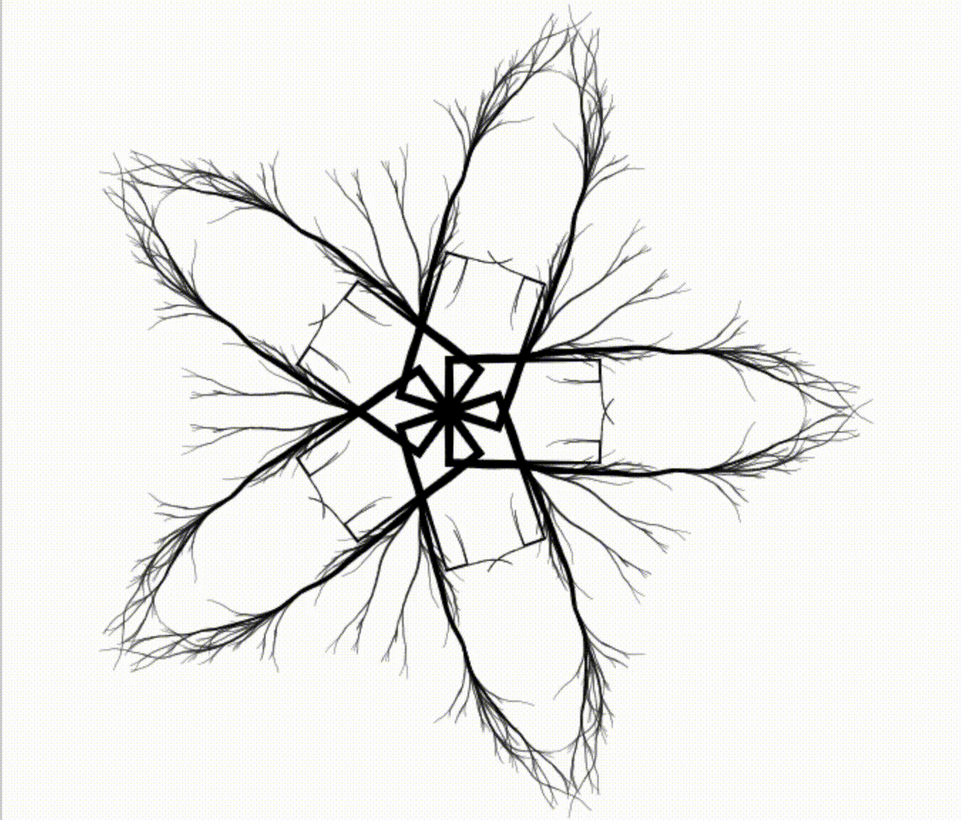 Dihedral symmetry with 5 reflections