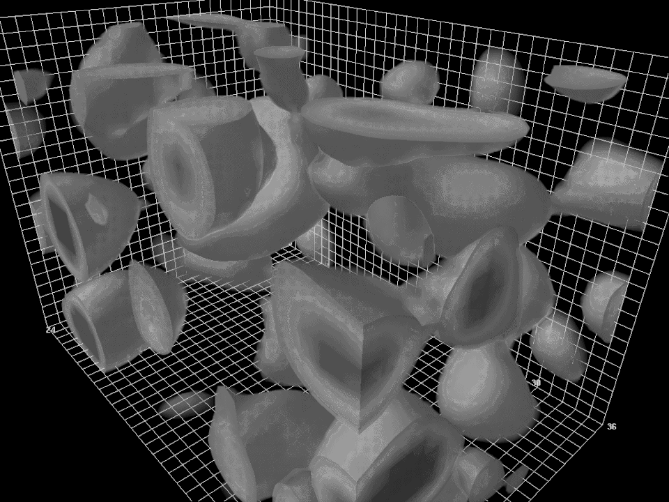 quantum animation