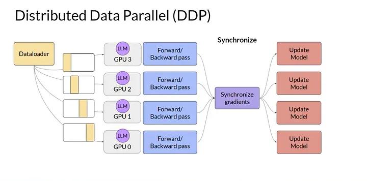DDP Architecture
