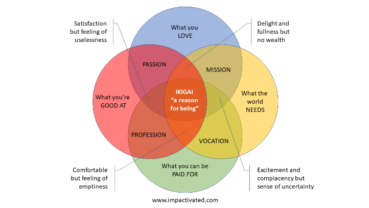 Discovering Ikigai in Bali. It was the summer of 2019, and I was… | by ...