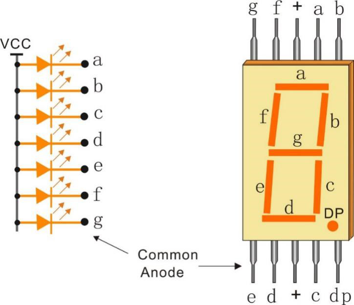 Lighting Up Your FPGA: A Deep Dive into Nexys A7 7-Segment Displays