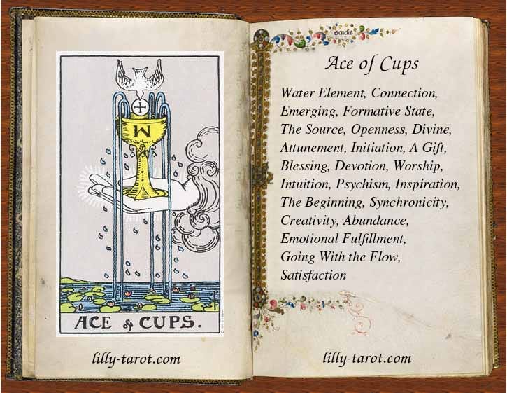 Ace of Cups. Ace of Cups is related with the water… | by LillyAnn Unukalhai  | Medium