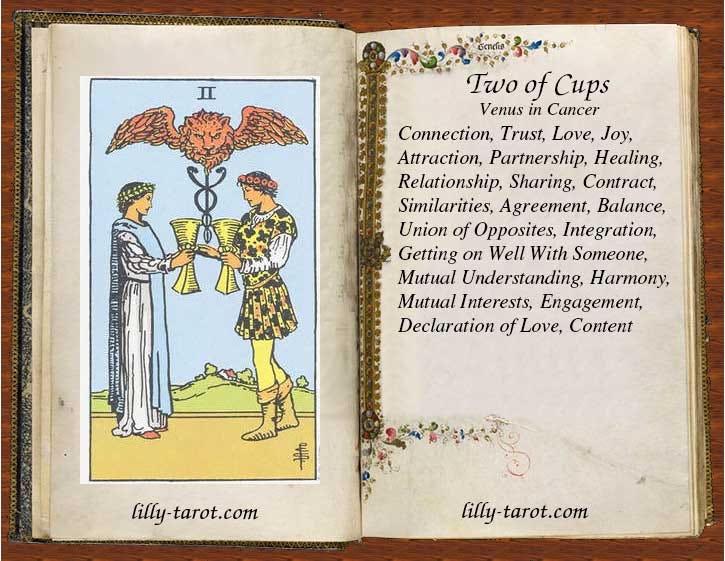 Two of Cups. Two of Cups is on the top amidst those… | by LillyAnn  Unukalhai | Medium