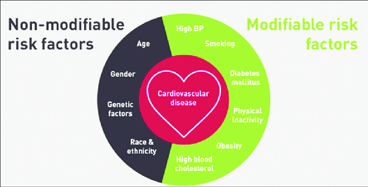 Cardiovascular Risk Factors | by Murari Ambati | May, 2024 | Medium