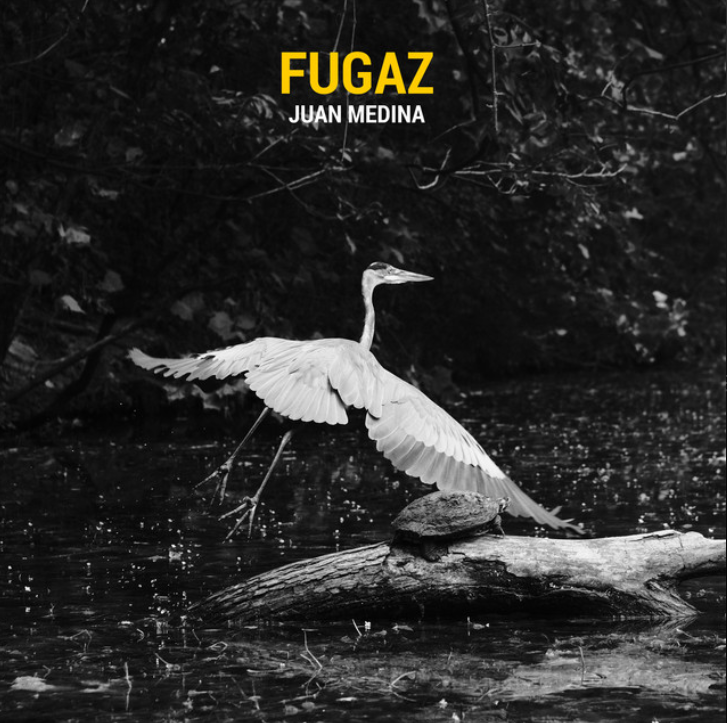 Juan Medina: Fugaz