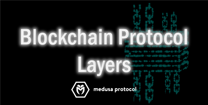 Blockchain Protocol Layers. thoroughly | by Medusa Protocol | Medium