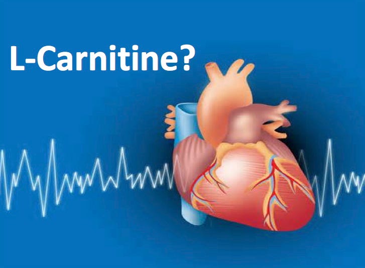 l carnitine and heart L-Carnitine & Arterial Plaque main image 0