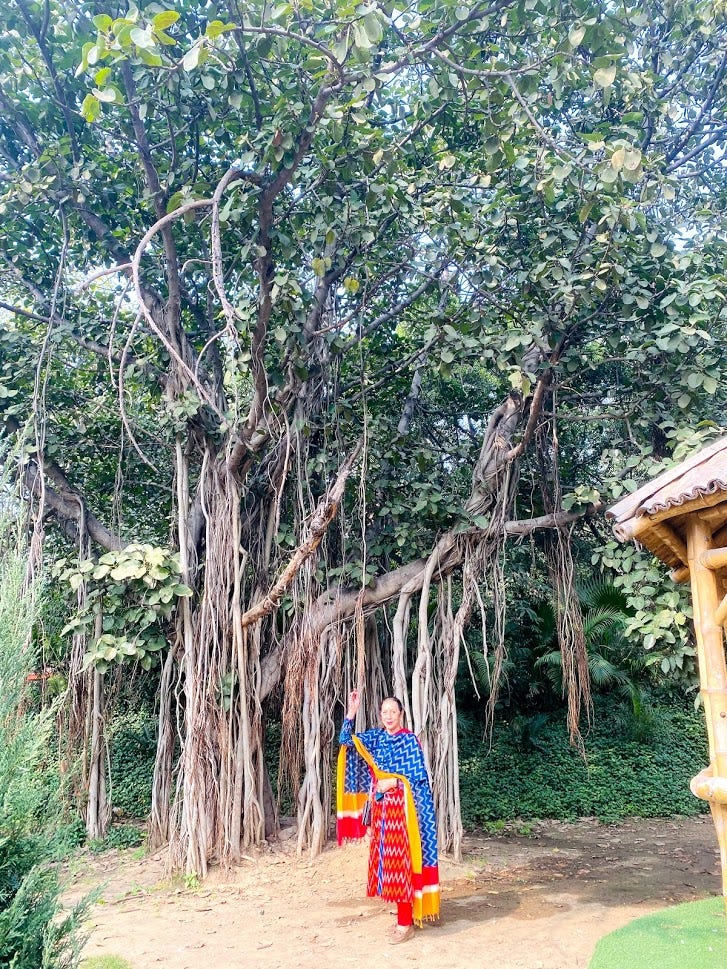 The Regal Banyan Tree. The tree with a difference | by Dr. Preeti Singh ...