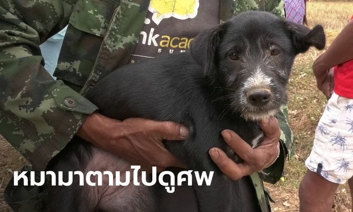 นกแสกร้องทั้งคืน ก่อนพบศพชายวัย 47 ปี ญาติขนลุกพร้อมใจกันฝันว่า “ฟันหัก”