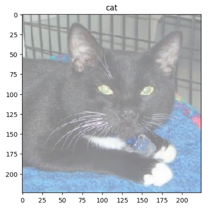 Transparency in AI: A Step-by-Step Implementation Guide | by Object ...