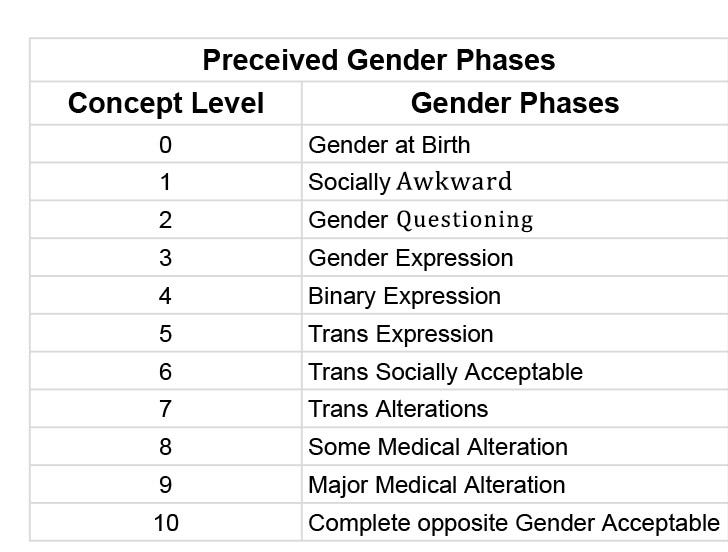 Concept of Gender Transition. Understanding the phases of transition