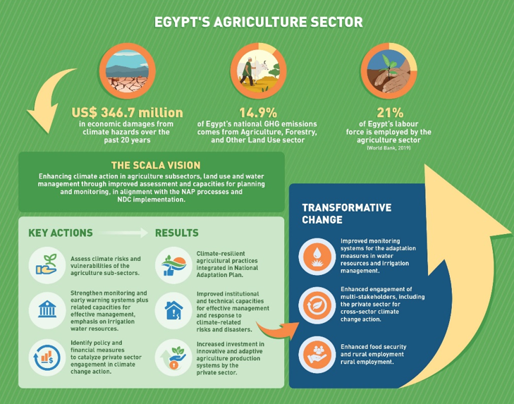 (Source: FAO, 2024)