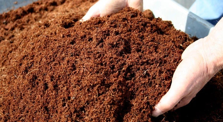 Coco Coir: A Versatile and Sustainable Alternative for Hydroponics