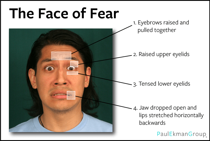 Scared Face Image, Scared Face, Afraid, Expression Face PNG