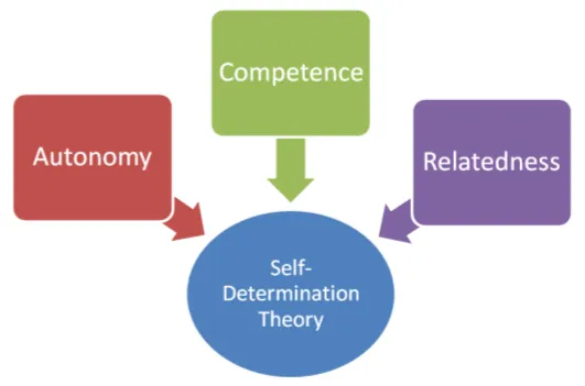 Self-Determination Theory And Our Three Basic Needs