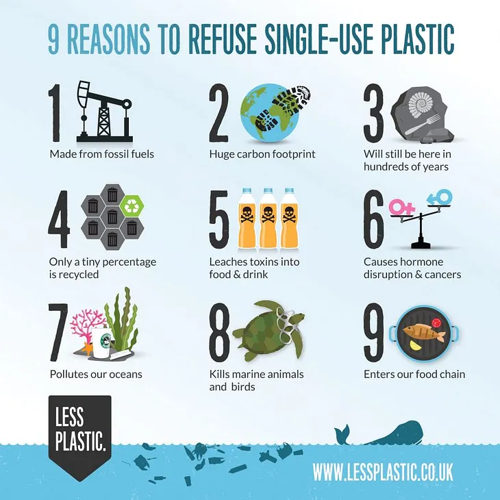 What is this fuss about Single-Use Plastic?