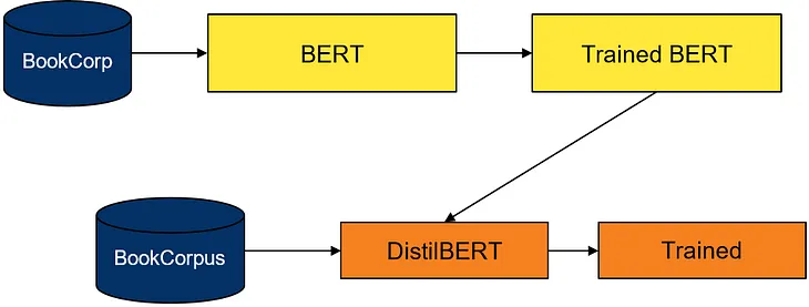 Finetune DistilBERT for multi-label text classsification task