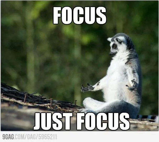 ATTENTION PLEASE: Have You Lost Focus?