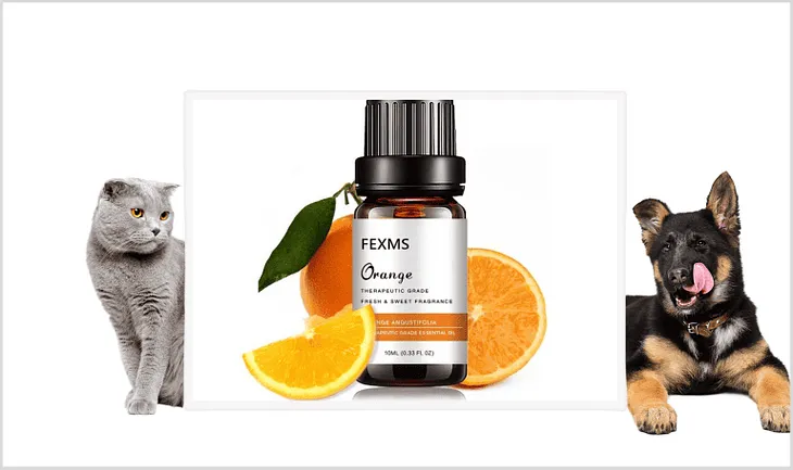 Is Orange Essential Oil Safe for Cats and Dogs? — cleanlivingpets.com