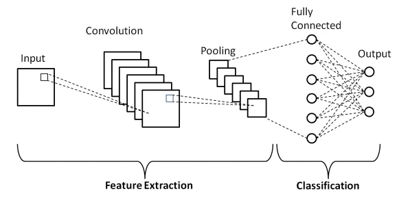 Unveiling the Power of Convolutional Neural Networks (CNNs)