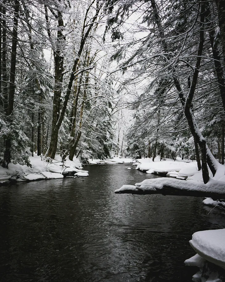 First Snowfall Of The Season