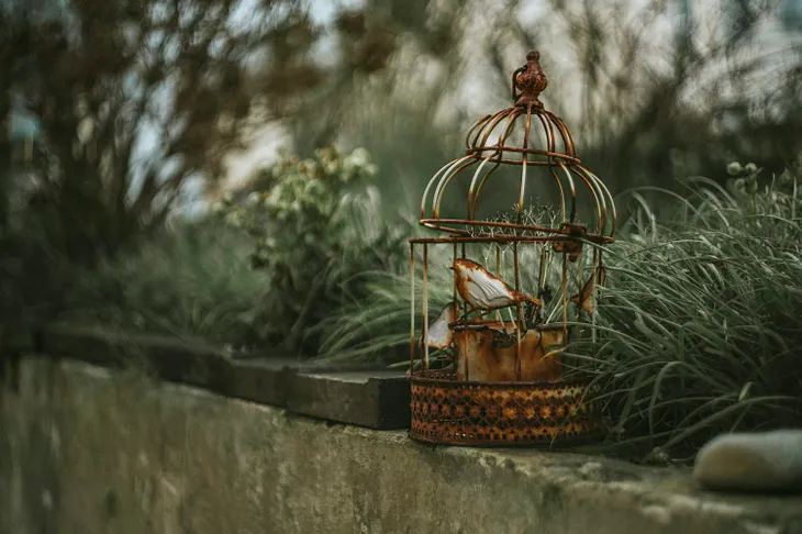 A fake bird inside of a partially-open, rusted birdcage.