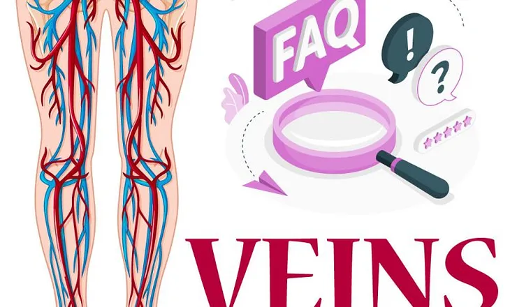 FAQS About Veins: Everything You Need to Know