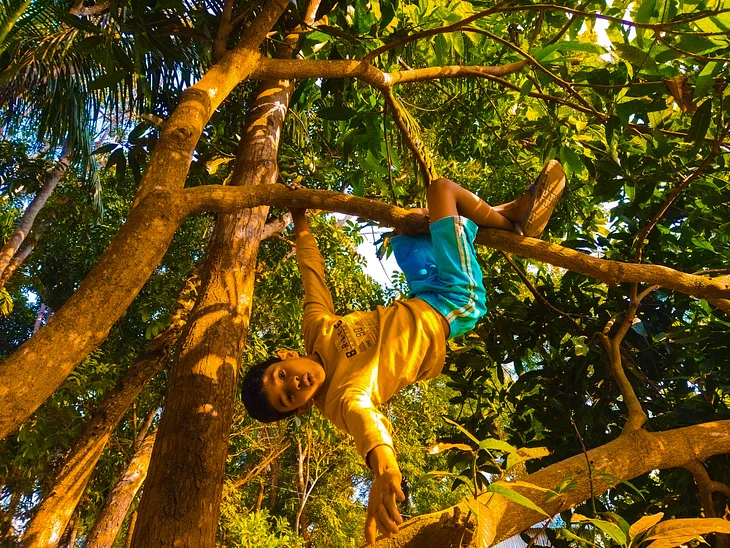 Why You Should Let Your Kids Climb Trees And Break Their Bones